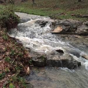 Meet your Posher, Patty